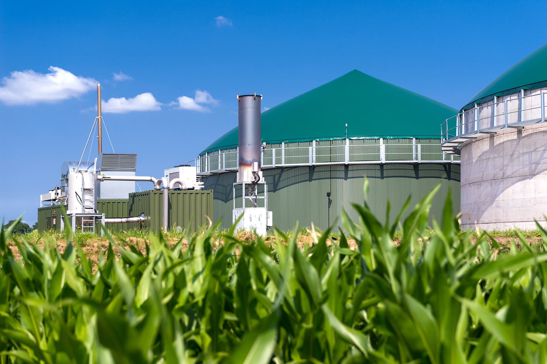 Biogas oder Biomethan Heizkessel zum Einsatz in Wärmenetze